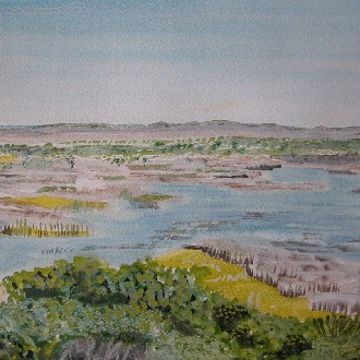 Whatipu Wetlands II