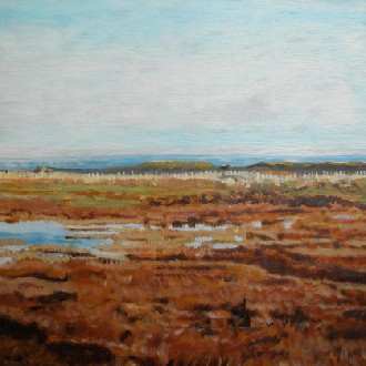 Whatipu Wetlands II
