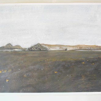 Whatipu South Head Paratutae Island and Nine Pin Rock